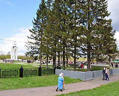 На воинском мемориале в д. Мясной Бор поисковики захоронят останки еще 323 бойцов РККА