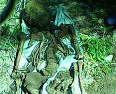 Карельские поисковики передадут останки погибшего в 1941-ом году солдата из Демянского района для захоронения на малой Родине