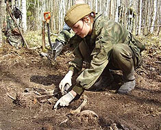 В период  весенней Вахты Памяти 2014 года на территории Новгородской области будут работать 105 поисковых отрядов