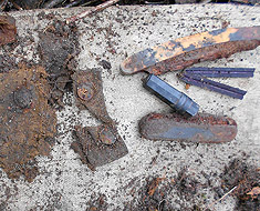 Под Мясным Бором обнаружили останки погибшего в 1942 году разведчика