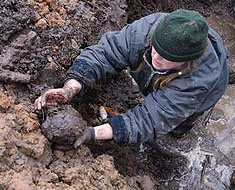 В Батецком районе найдены останки трех ленинградских ополченцев