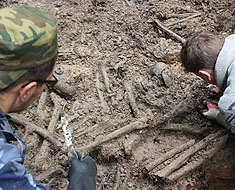 В Новгородской области захоронят останки 25 героев Демянской десантной операции