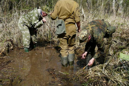 Чудовские поисковики разыскивают родственников погибшего солдата из Саратовской области